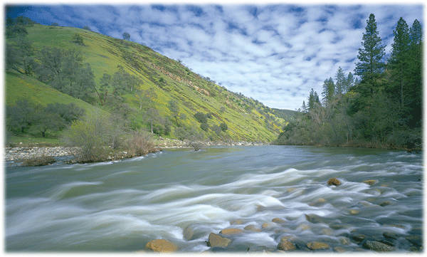 The American River Canyon Whitewater