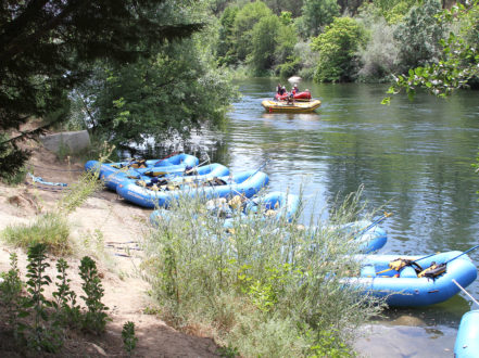 rafting lined up on the banks of the river