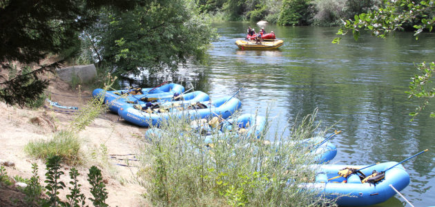 rafting lined up on the banks of the river