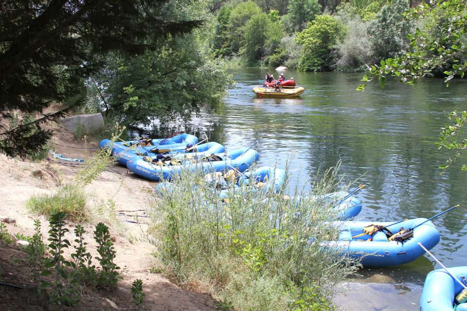 rafting lined up on the banks of the river