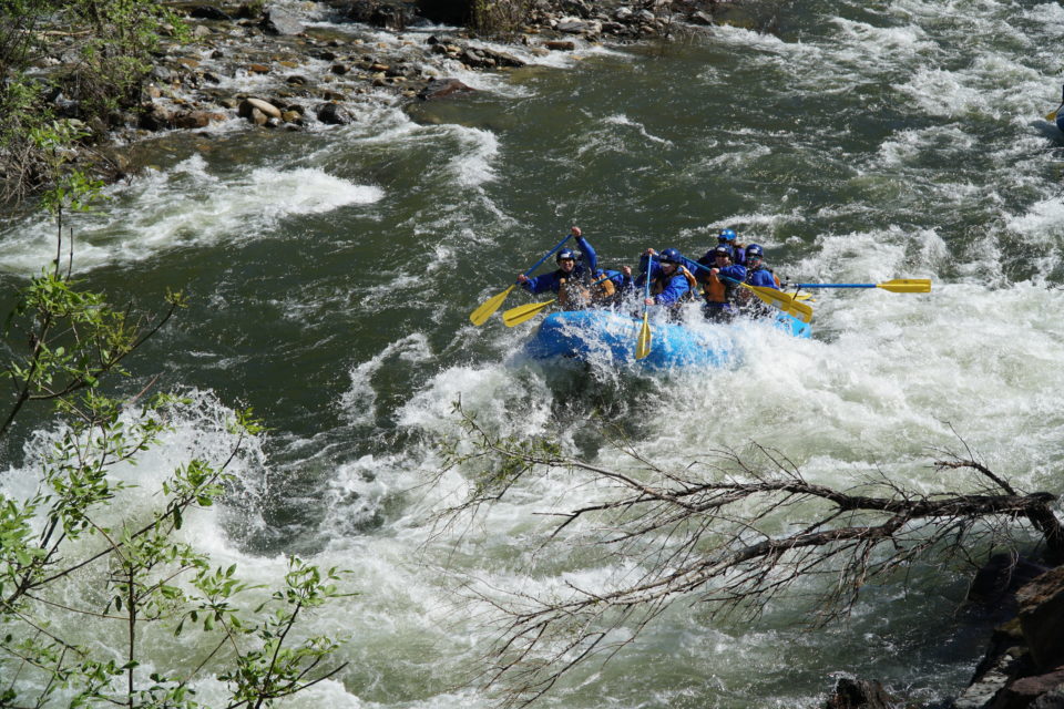 Rafting Class 4 rapids Merced River